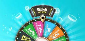 Playing Wink Bingo – Some Tips on Winning