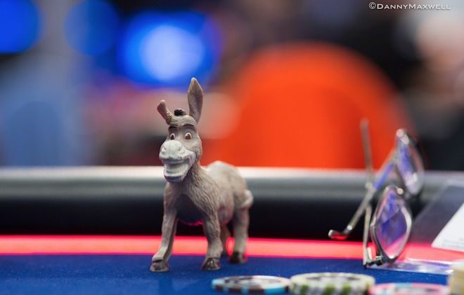 Winning Online Poker – Are the Donkey’s Actually Right?